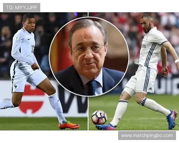 居莱尔的战术适配与场上角色定位分析